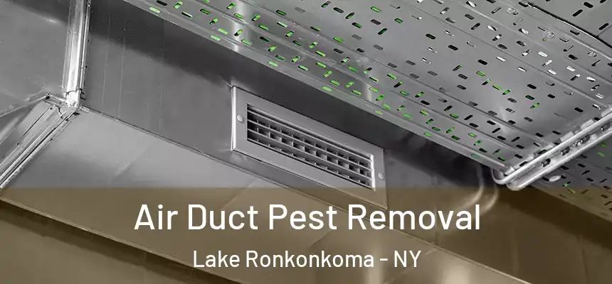 Air Duct Pest Removal Lake Ronkonkoma - NY