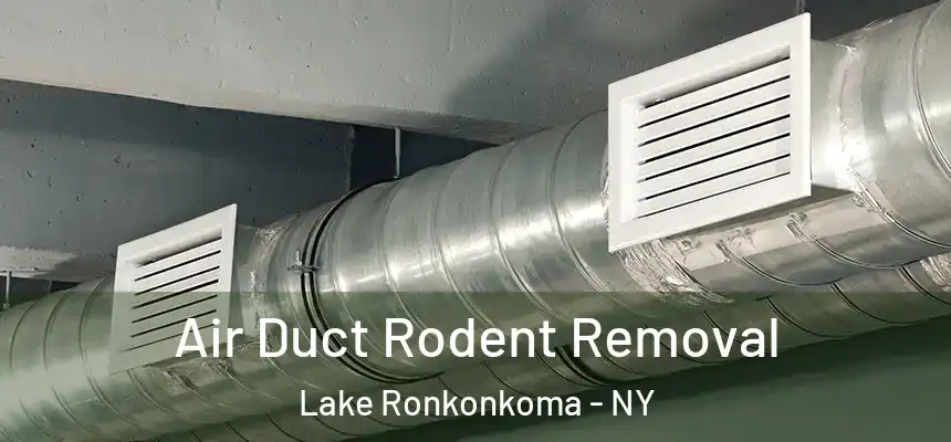  Air Duct Rodent Removal Lake Ronkonkoma - NY