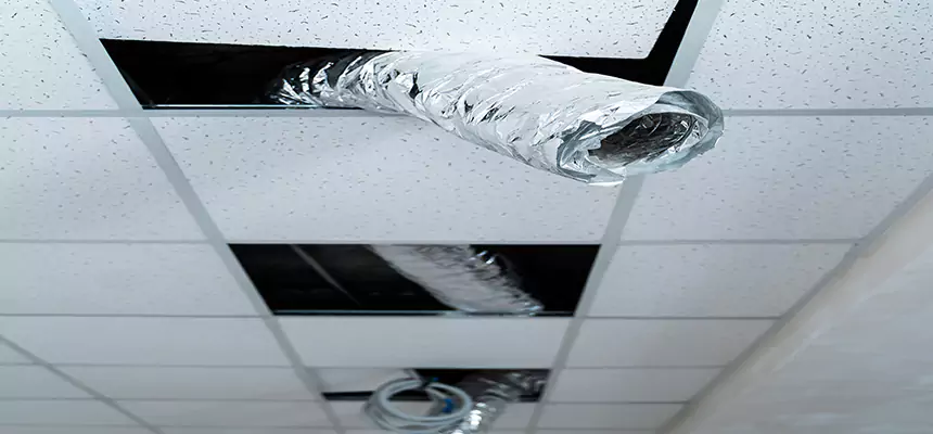 Affordable HVAC Sanitizing After Pest Removal in Lake Ronkonkoma