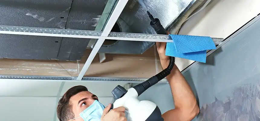 Our Air Duct Rodent Removal Services in Lake Ronkonkoma, NY