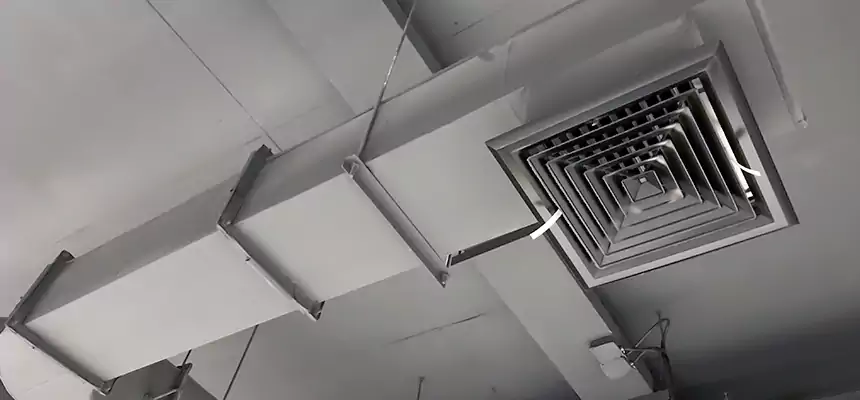 Our Pest Removal From Ducts Services in Lake Ronkonkoma, NY