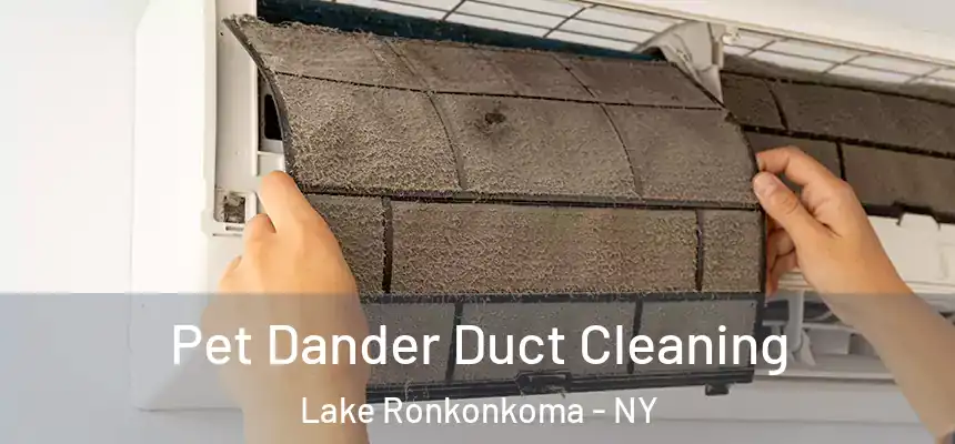  Pet Dander Duct Cleaning Lake Ronkonkoma - NY