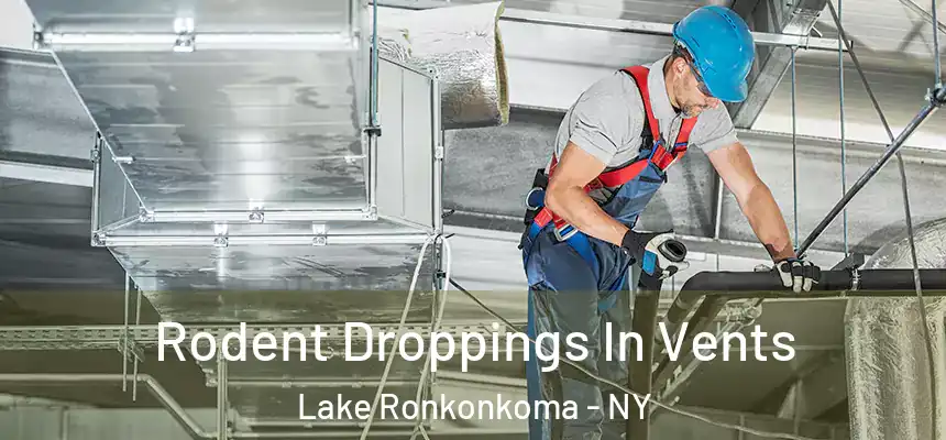  Rodent Droppings In Vents Lake Ronkonkoma - NY