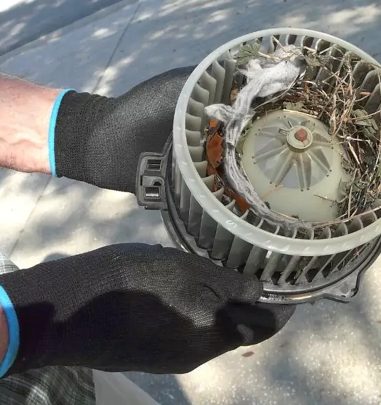 About Air Duct Mice Removal in Lake Ronkonkoma, NY