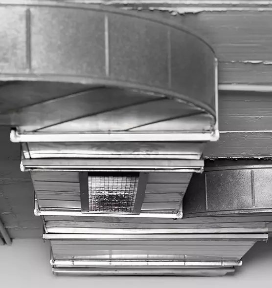 Professional Air Duct Pest Removal in Lake Ronkonkoma, NY