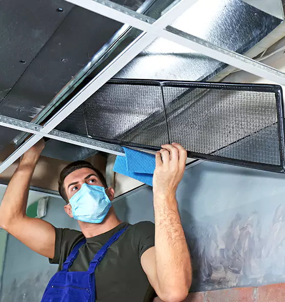 Professional Air Duct Pollen Cleaning in Lake Ronkonkoma, NY
