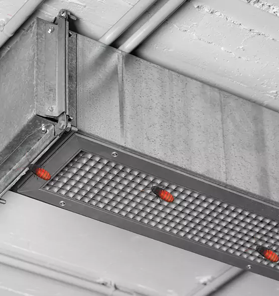 Affordable Insect Removal from Air Ducts in Lake Ronkonkoma, NY