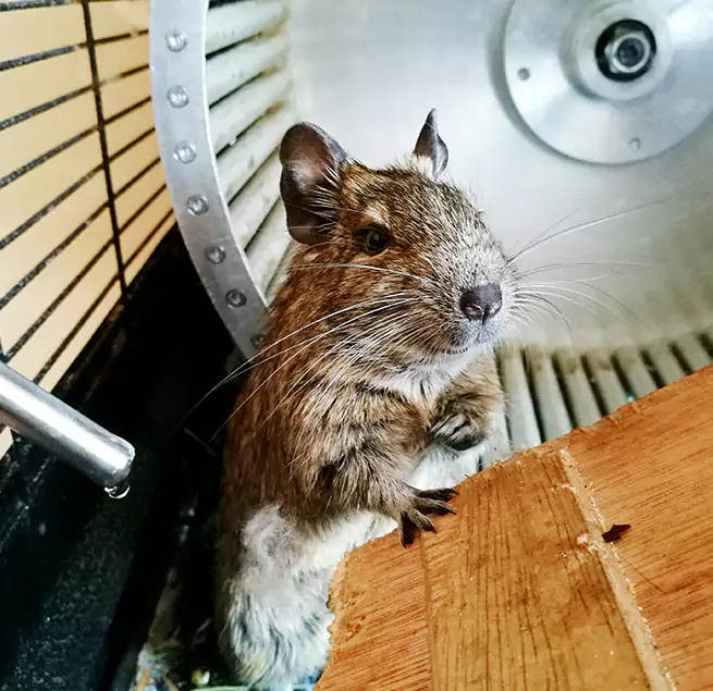 Why Homeowners & Businesses Trust Us Lake Ronkonkoma, NY