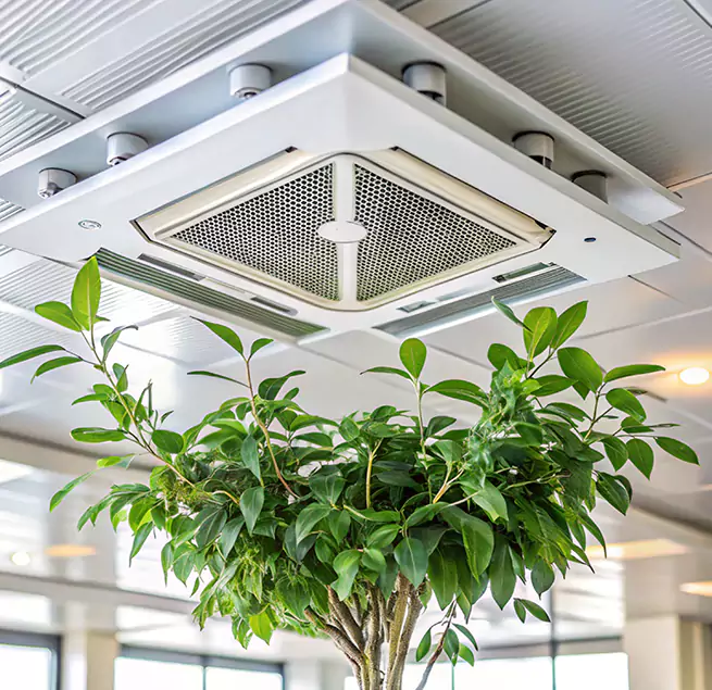 Why Homeowners & Businesses Trust Us in Lake Ronkonkoma, NY